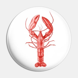 Red lobster illustration Pin