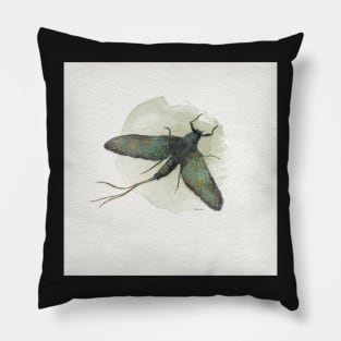 Stonefly Pillow