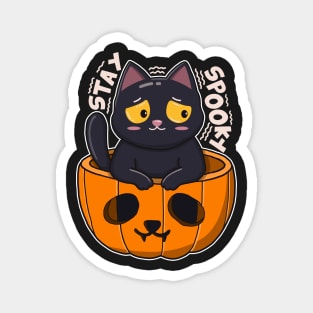 Stay Spooky Black Cat Magnet