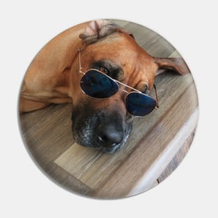 Chill Dog with Glasses Pin