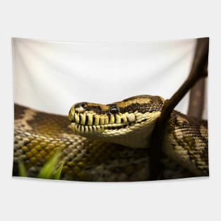 Snake VIII / Swiss Artwork Photography Tapestry