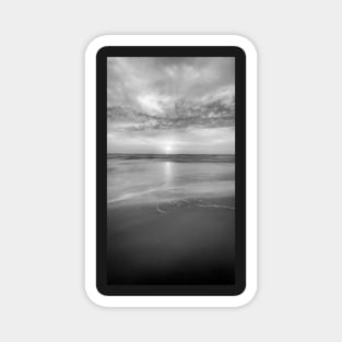 Silky Black & White Beachfront Magnet