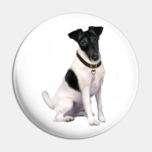 Black and White Smooth Fox Terrier Pin by Dogs Galore and More