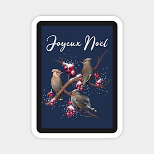 Bohemian Waxwings French Christmas Card Magnet