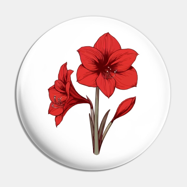 Amaryllis Pin by fikriamrullah