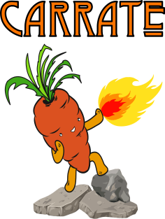 Karate carrot funny Magnet