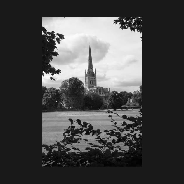 Norwich cathedral by stuartchard