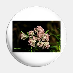 Dogwood Pin