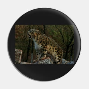 Snow Leopard Pin