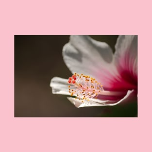 White & Pink Tropical Hibiscus Flower Macro Photograph T-Shirt