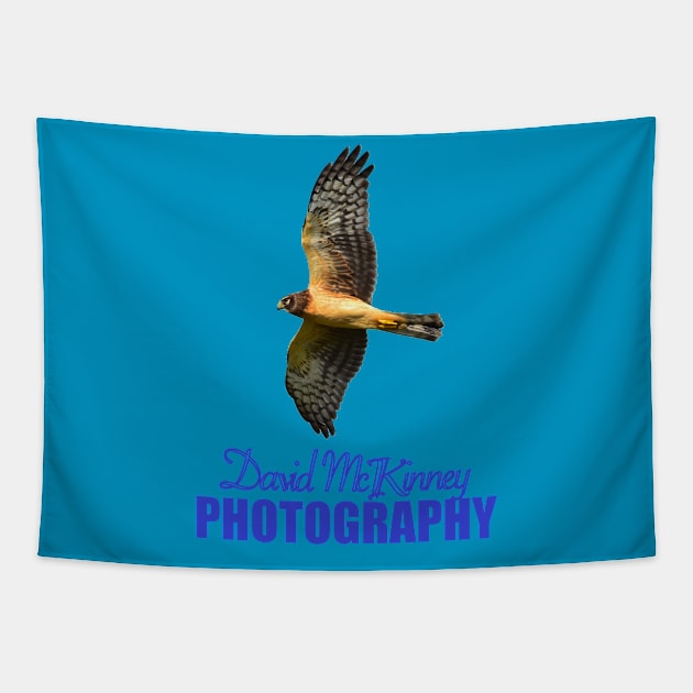 Northern Harrier DMP Tapestry by LastViewGallery