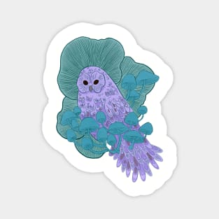 Fungus owl Magnet