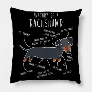 Black and Tan Dachshund Dog Anatomy Pillow