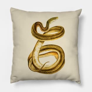 serpent,cobra,reptile,viper,venom,lizard,rattlesnake,king cobra,dragon,hydra,poison,venomous,plumber's snake,pythonidae,pythons,auger,python,squamata,serpentine,worm,big,ophidian,rattlesnakes,medusa,snakebite Pillow