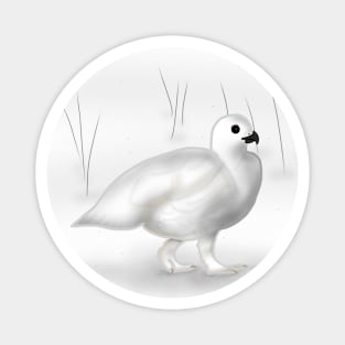 Ptarmigan Magnet