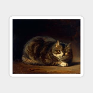 Vintage Cute Tabby Cat Magnet