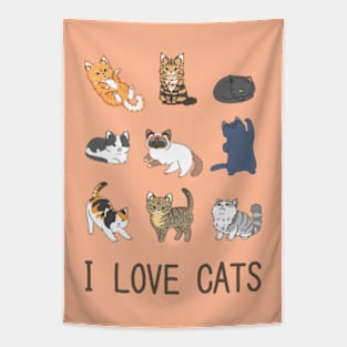 I Love Cats Tapestry