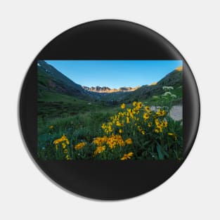 August in American Basin Pin