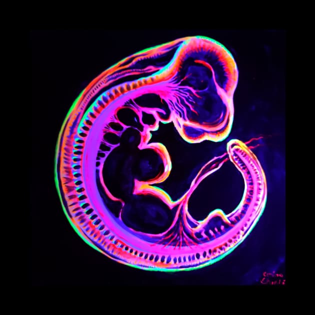 Embryo by CORinAZONe