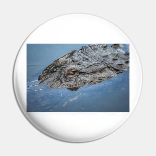 Big Mama alligator Pin