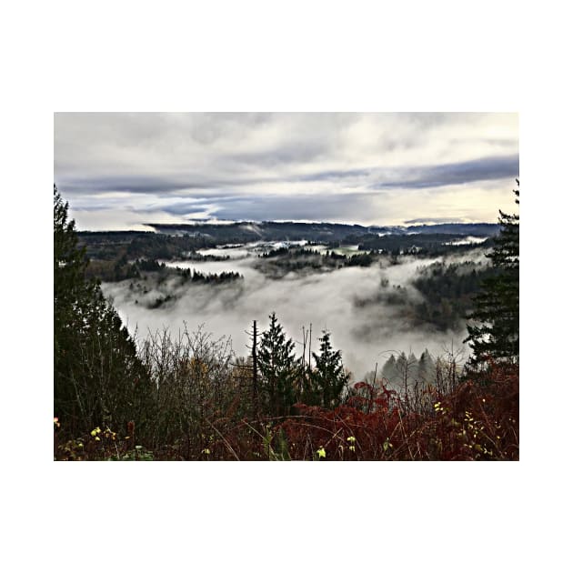 Valley Fog in Sandy Oregon by DANAROPER