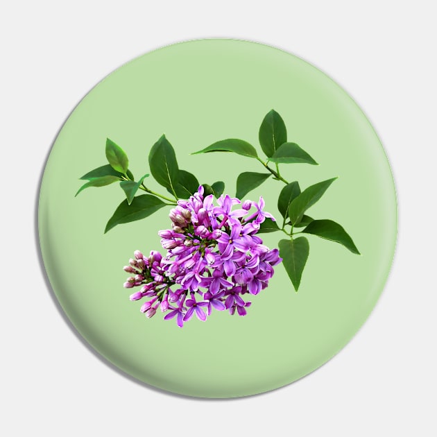 Lovely Lilacs Pin by SusanSavad