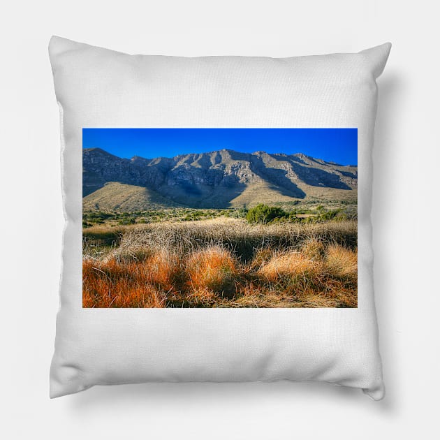 Guadalupe Mountains National Park2 Pillow by StonePics