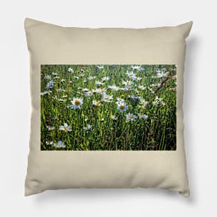 Summer Meadow Pillow