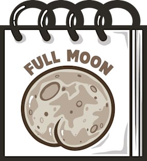 FULL MOON Magnet