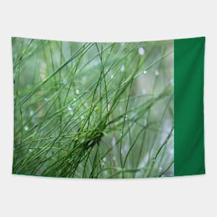 Water Droplets Tapestry