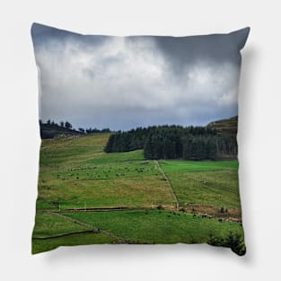 Looking over Glenkilrie, Blacklunans, Scotland Pillow