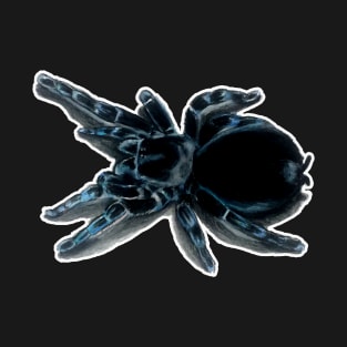 Brazillian Black Tarantula T-Shirt