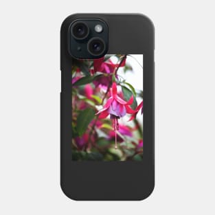 Flowering Fuchsia Phone Case