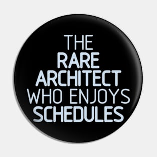 Rare Architect Pin