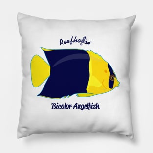 Bicolor Angelfish Pillow