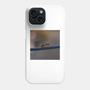 macro ants Phone Case