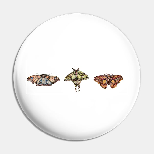 Moth Collection Pin by corianndesigns