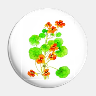 Nasturtiums Pin