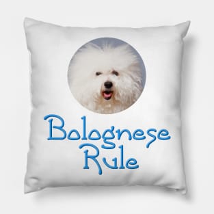 Bolognese Rule Pillow