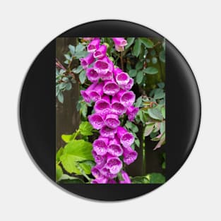 flower, bell, beautiful, love, love, pink Pin