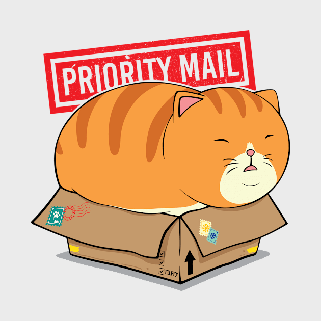 BOX CAT by ammghazali