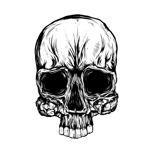 Skull by BlackOwl