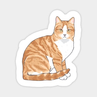 Orange Tabby Cat Magnet