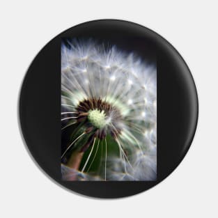 Dandelion Seeds Pin