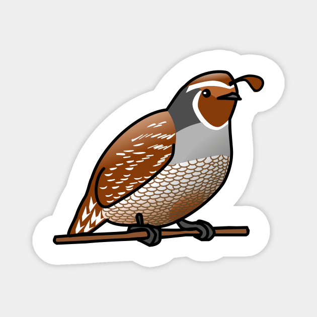 California Quail Magnet by denip