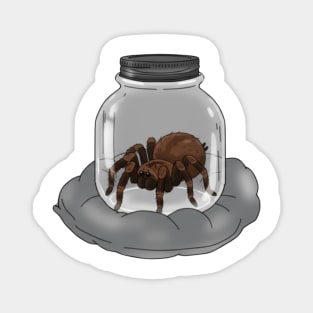 Tarantula In A Jar For Arachnid Lovers Magnet
