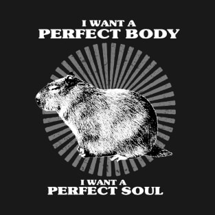 Capybara i want a perfect body i want a perfect soul Shirt, Funny Capybara Meme T-Shirt