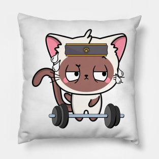 Funny Siamese cat is exercising Pillow