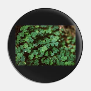 Forest Clovers Pin