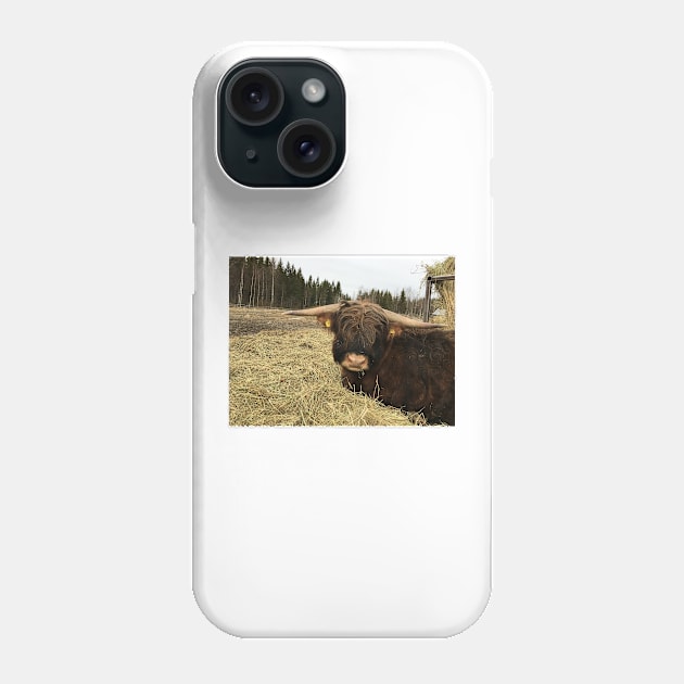 Scottish Highland Cattle Bull 2337 Phone Case by SaarelaHighland